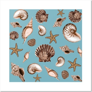 Coastal seashells on robin's egg blue Posters and Art